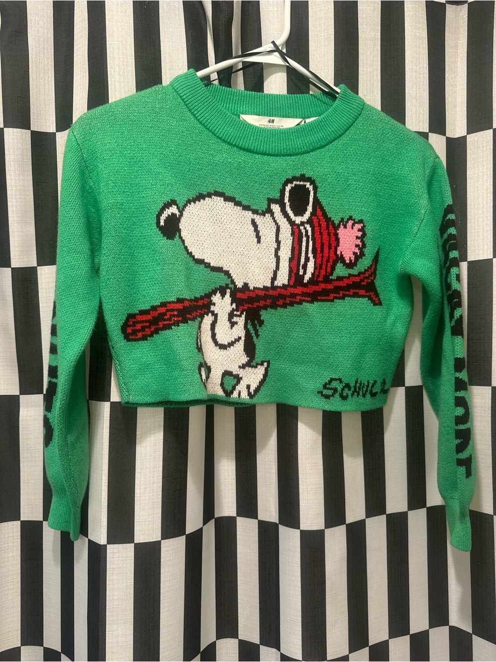 H&M Kids Green Snoopy Graphic Cropped Sweater